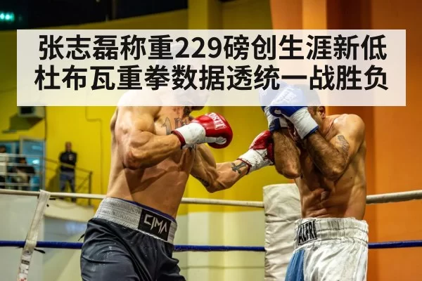 heavyweight boxing punch